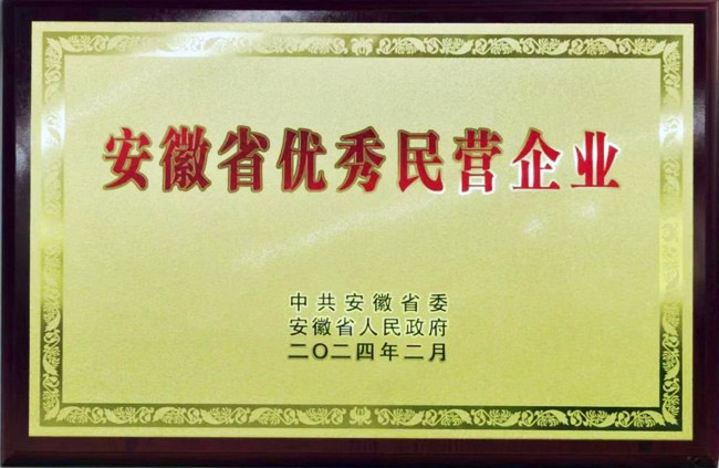 热烈祝贺EVO厅股份荣获安徽省优良民营企业称号